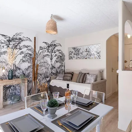 Appartement Magnifique Centre Vieux Port-croisette-plages Cannes
